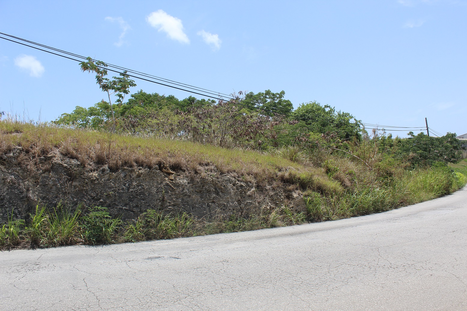 Cane Garden, (Commercial Land) St. Thomas Barbados