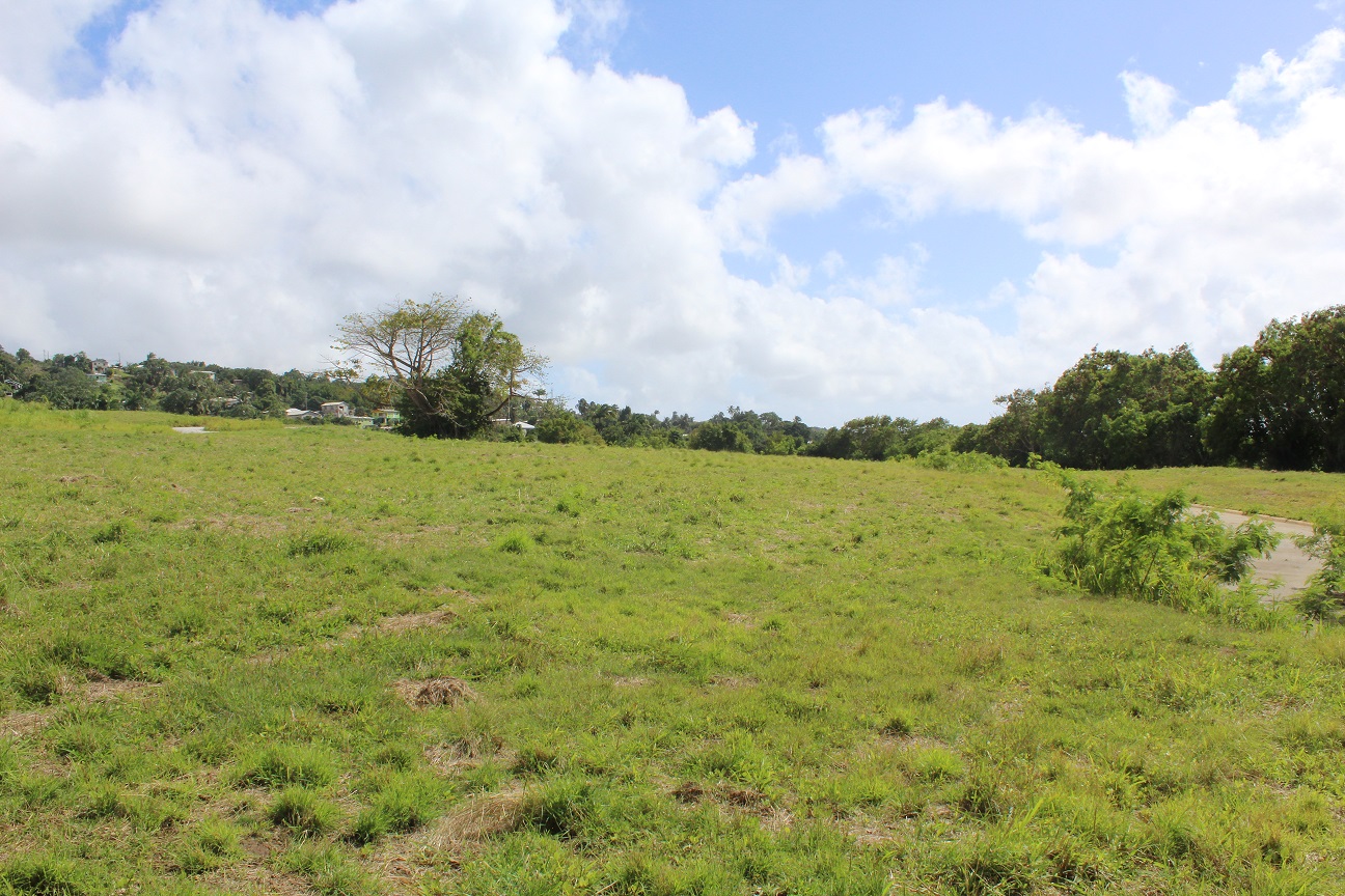 Dumscombe, St. Thomas, 'Sunset Views' Residential Development, Barbados