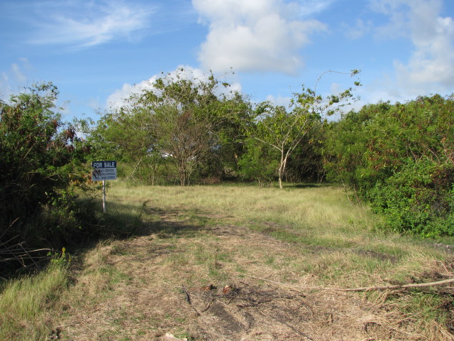 Kirtons No. 3, St. Philip Barbados