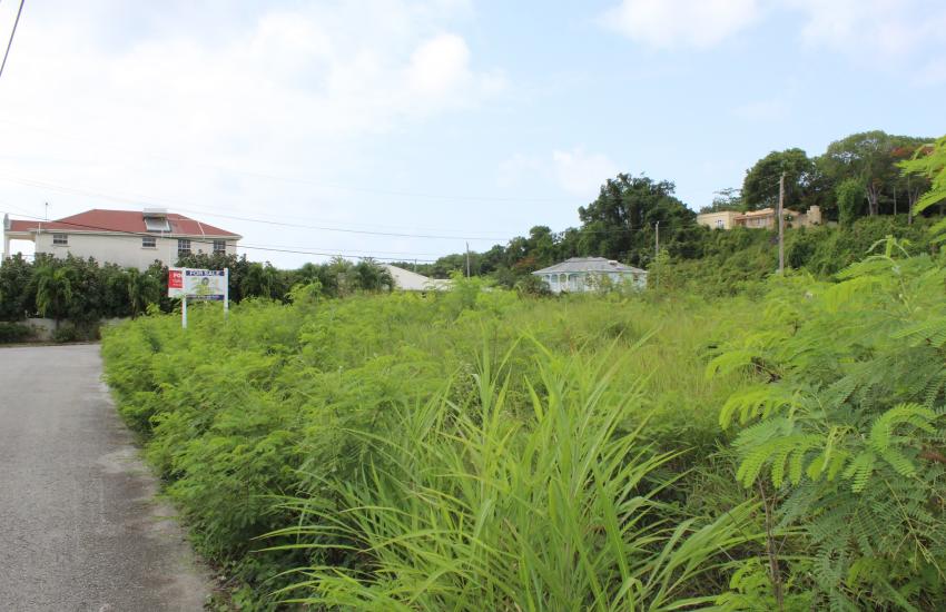 Colleton Gardens Lot 3, St. Lucy Barbados
