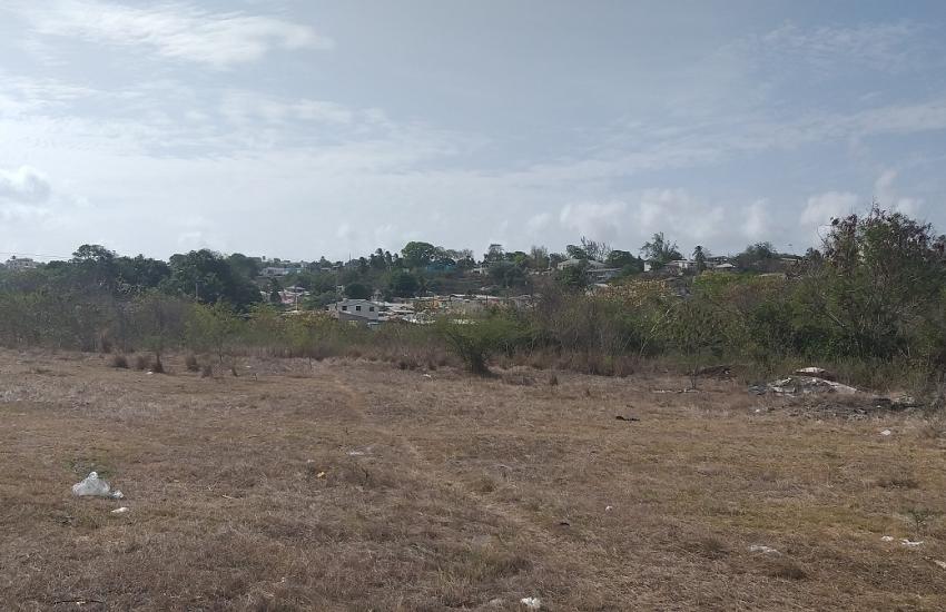 Grazettes, Long Gap, St. Michael Barbados