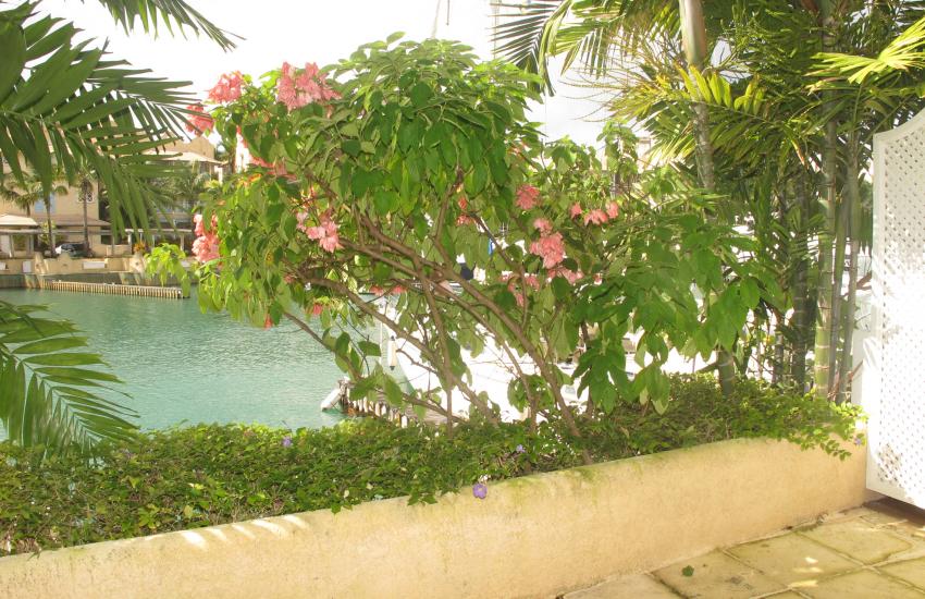 Port St. Charles Unit 140, Lagoon Front Apartment, St. Peter, Barbados
