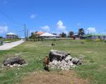 Foul Bay, Johnson Development Lot 38, St. Philip Barbados