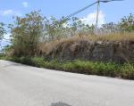 Cane Garden, (Commercial Land) St. Thomas Barbados