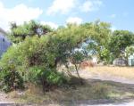 Ruby Park, Lot 722, Stage (4), St. Philip, Barbados