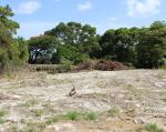 Upton Lot 2A, St. Michael (Commercial Land) Barbados